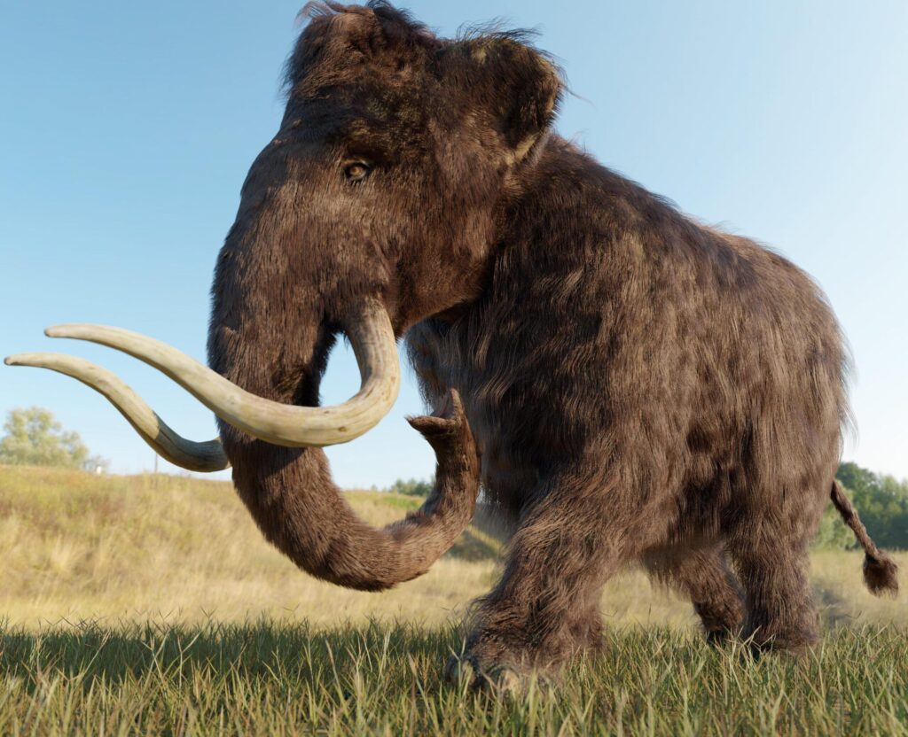 In an Attempt to Bring Mammoths Back to Life, Scientists Create a Strange Creature